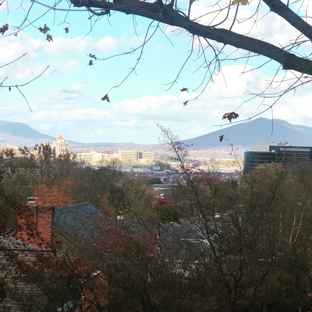 Roanoke Region Sees Boost in Population Growth Roanoke Innovates